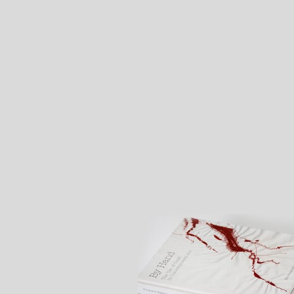 By Hand , The Use of Craft in Contemporary Art Princeton Arch… - Picture 9 of 16